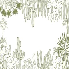 Desert plants, cacti. Vector background. Sketch  illustration.