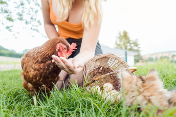 Girl with chicken and cat on farm