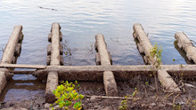 Old Wharf Foundations Covered With Barnacles On Muddy River Bank