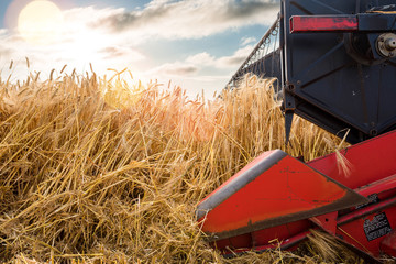 combine harvester in action close up