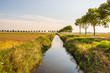 Long straight ditch in a Dutch polder landscape