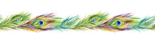 Peacock Feather Seamless Border, Watercolor Painting On White Background.