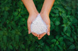 Farmer hands holding chemical organic nutrient agricultural plant fertilizer in the garden or nature