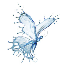 Butterfly Made Of Water Splash Shape, Liquid 3d Rendering.