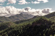 landscape with pinewood trees in the mountains of gran canaria, canary islands, spain