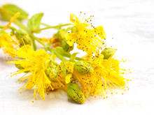 Yellow Hypericum Flowers On A Wooden Background