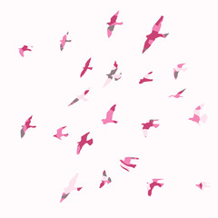 Wall Mural - silhouette of a flock of flying birds