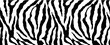  zebra texture