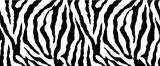 Fototapeta Zebra -  zebra texture