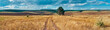 canvas print picture - Panoramic landscape of central Russia agricultural countryside with hills and country road. Summer landscape of the Samara valleys. Russian countryside. High resolution file for large format printing.