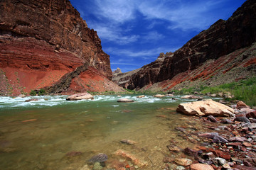 Wall Mural - Hance Rapids in Grand Canyon National Park, Arizona, with red canyon walls under a deep blue sky.