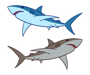 Shark vector illustration. 2 sharks swimming clip art isolated on white background.