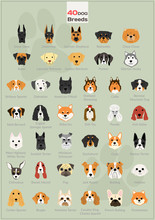 Dog Head Illustrations Background Set