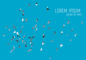 Wall Mural - silhouette of a flock of flying birds