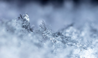 winter photo of snowflakes in the snow