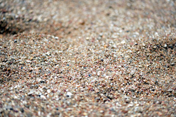 Sea coast sand texture close up. Natural background