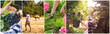 © Mihail - collage of farm garden agriculture concept, collect harvest and crop