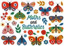 Set Of Isolated Moths And Butterflies - Vector Illustration, Eps