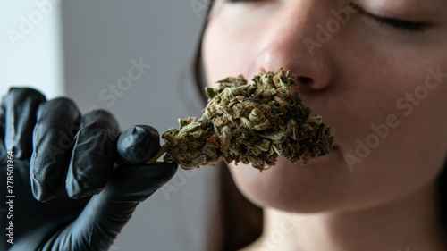 the girl holds a marijuana bud in her hands and sniffs her smell in front of her face.