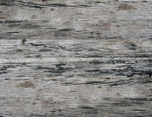 wood texture background