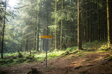 Disc Golf Basket In The Woods