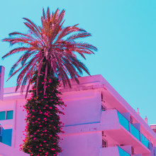 Palm Tree Among Hotels In Travel Concept. Minimal And Surreal