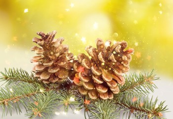 Wall Mural - two pine cones with branch on a white background.