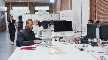 Wall Mural - Business Team Working At Desks In Modern Open Plan Office