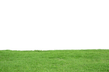 Green Grass Texture with White Blank Copyspace