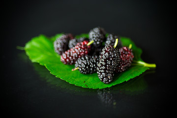 Canvas Print - Mulberry berry with leaf isolated on black background