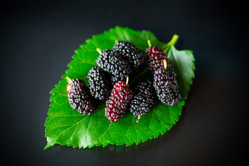 Mulberry berry with leaf isolated on black background