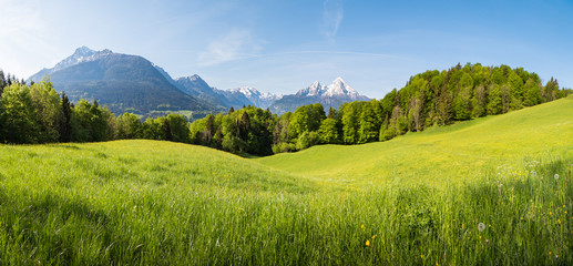 scenic panoramic view of idyllic rolling hills landscape with blooming meadows and snowcapped alpine