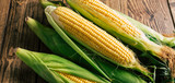 Fototapeta  - Fresh corn on the cob on a wooden background, long banner