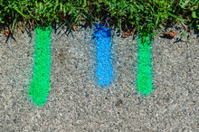 Blue And Green Utility Markings On A Sidewalk
