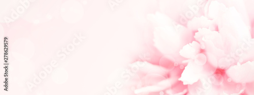 Closeup view of pink peony flower Fototapete