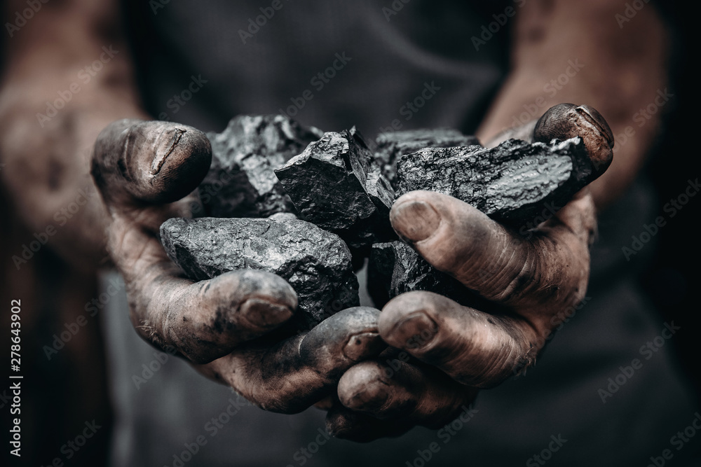 Coal in miner holds. Concept industry mining - obrazy, fototapety, plakaty 