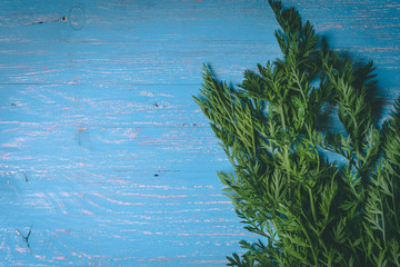 Wall Mural - Carrot tops on old blue wooden table. Copy space. Healthy food. Raw Vegetables.