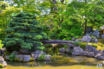 Idyllic landscape of Japanese garden