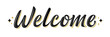 © Elena Iakovleva - Welcome lettering sign. Handwritten modern brush lettering on white background. Text for postcard, invitation, T-shirt print design, banner, poster, web, icon. Isolated vector illustration.