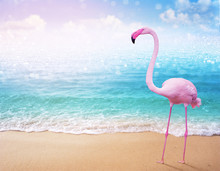 Pink Flamingo On Beautiful Sandy Beach And Soft Blue Ocean Wave Summer Concept Background