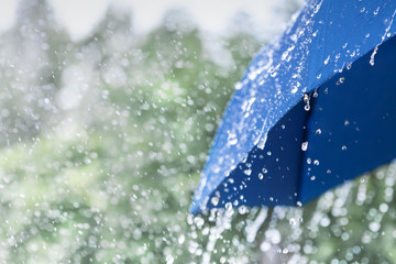 blue umbrella under heavy rain against nature background. rainy weather concept.