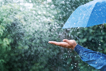 Wall Mural - hand and blue umbrella under heavy rain against nature background. rainy weather concept.