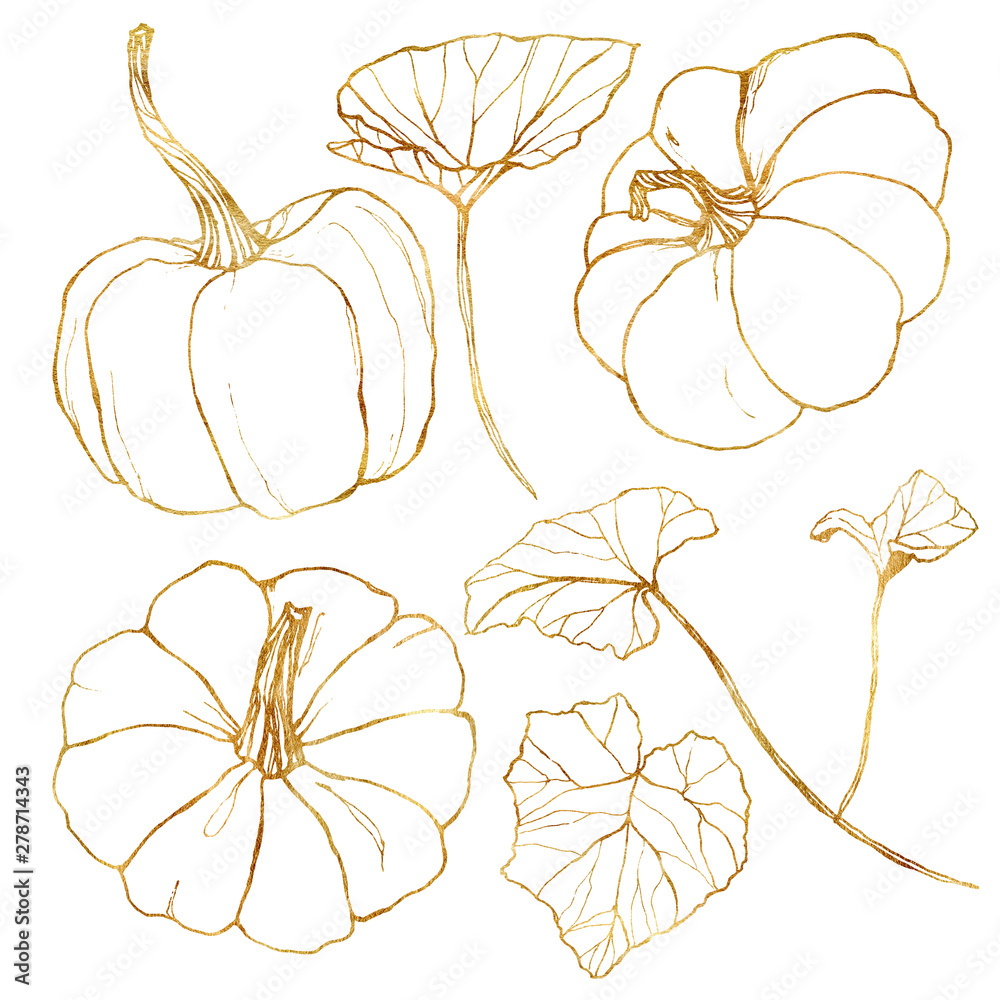 Line art golden set with autumn harvest. Hand painted traditional ...