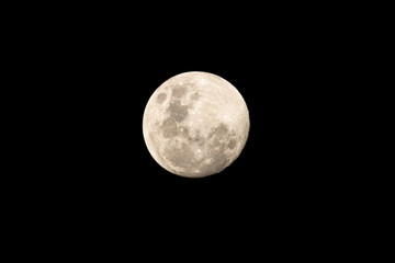 nearly a full moon