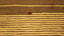 The Harvester Reaps Corn In The Field Aerial