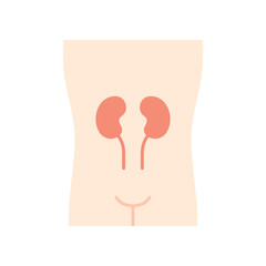 Poster - Healthy kidneys flat design long shadow color icon. Human organ in good health. People wellness. Internal body part in good shape. Wholesome urinary system. Vector silhouette illustration