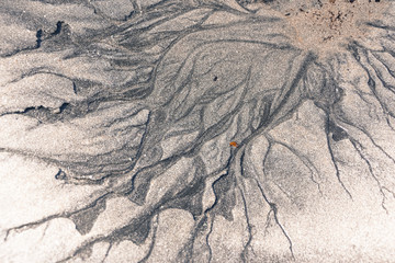 Wall Mural - Sand Texture on Beach Close Up, Summer Day Scene. Vibrant View of Sand Structure