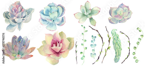 Fotografía Set of watercolor succulents