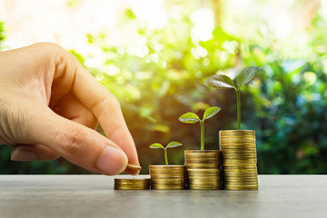 Wall Mural - Long-term investment or making money with the right concepts. A business man hand putting on stack of coins on a wooden table with growth plant on coins pile. Depicts a standing and stable investment.