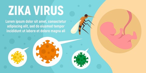 Poster - Zika virus mosquito concept banner. Flat illustration of zika virus mosquito vector concept banner for web design